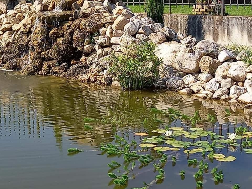 Villa Lucilla Altavilla Silentina Buitenkant foto