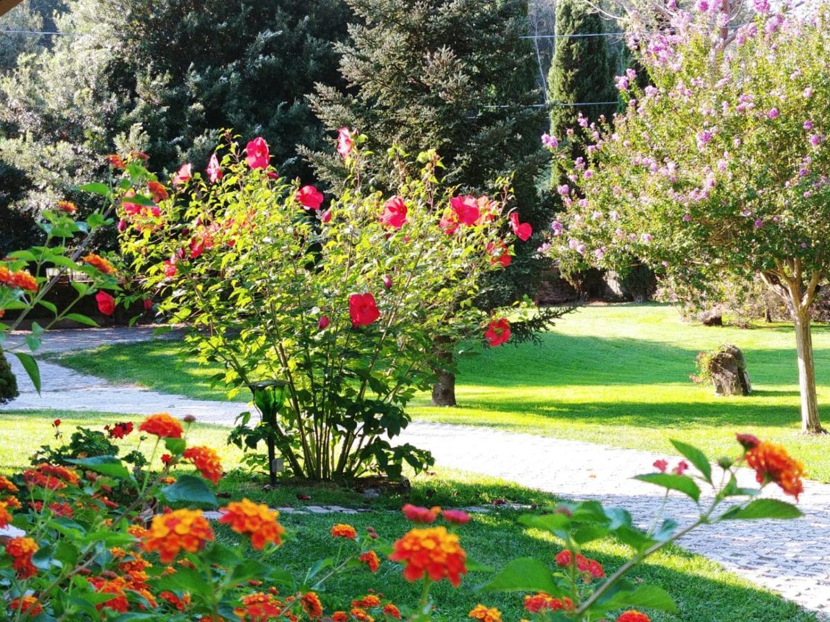 Villa Lucilla Altavilla Silentina Buitenkant foto
