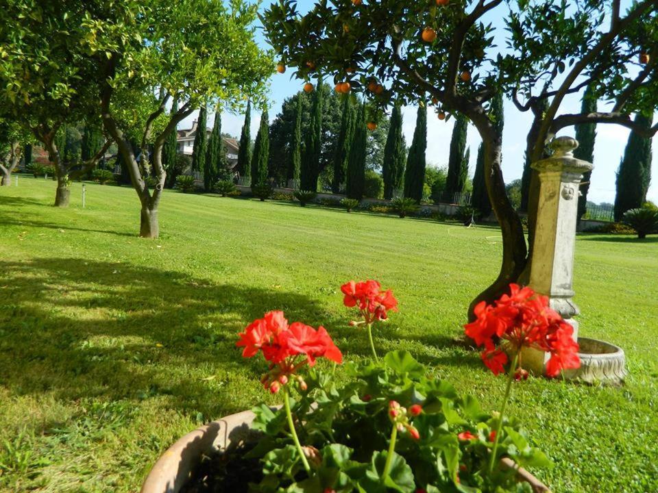 Villa Lucilla Altavilla Silentina Buitenkant foto