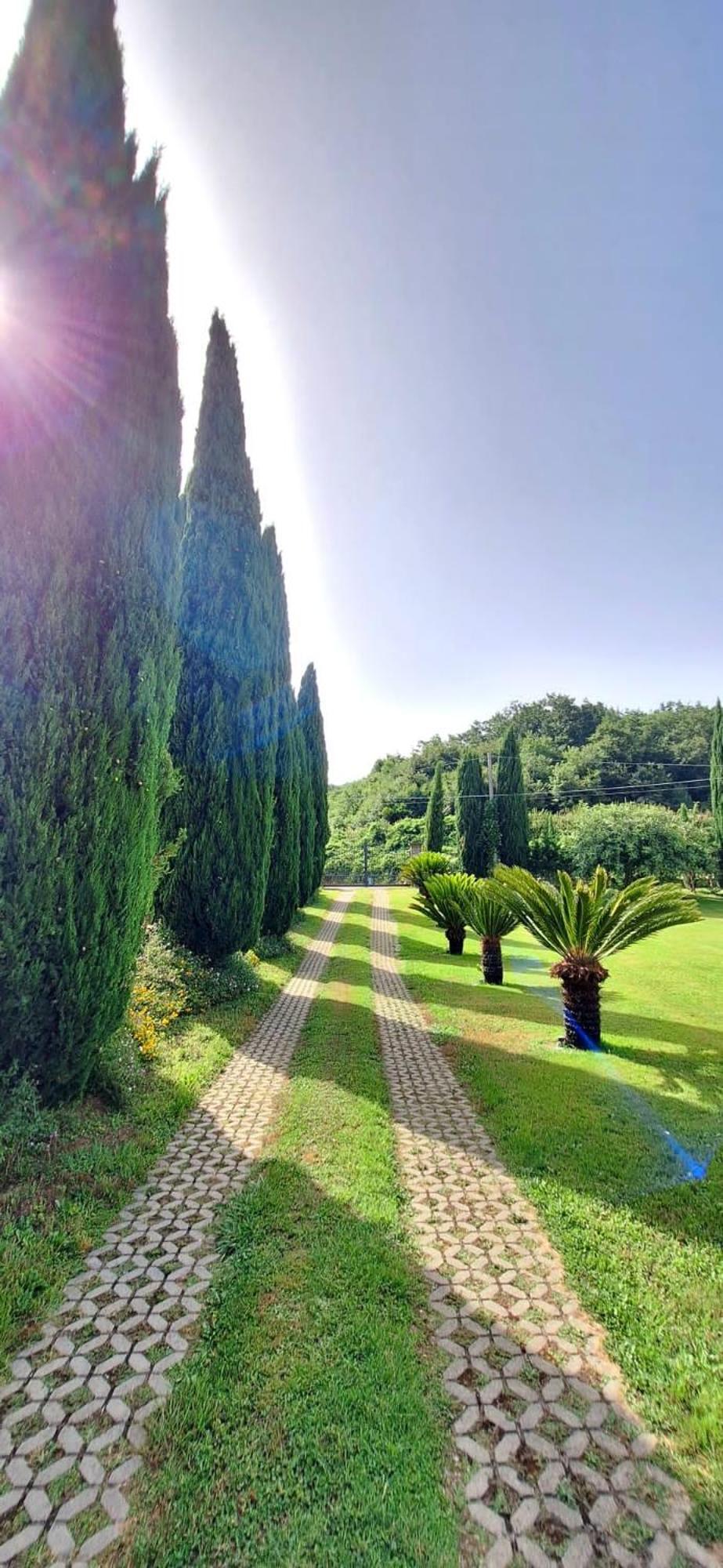 Villa Lucilla Altavilla Silentina Buitenkant foto
