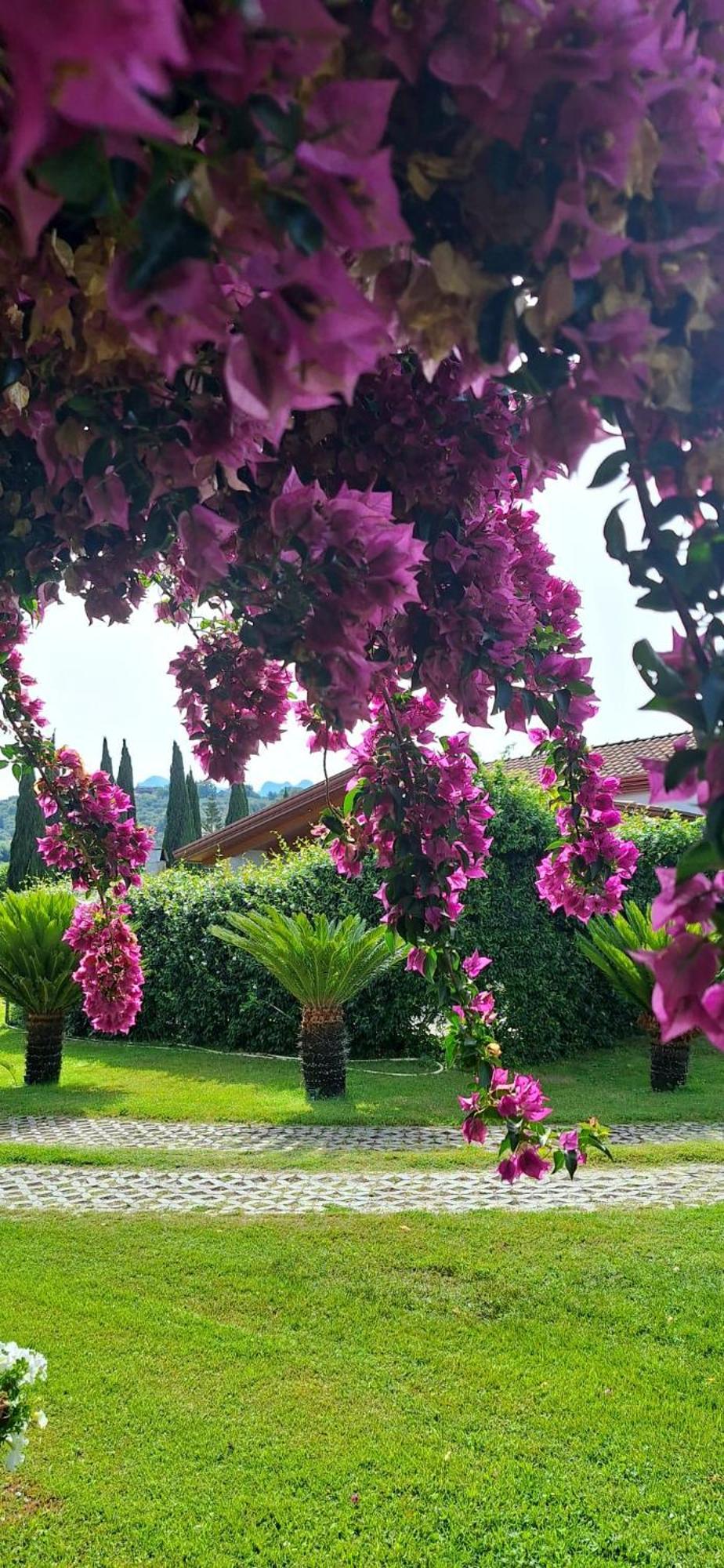 Villa Lucilla Altavilla Silentina Buitenkant foto