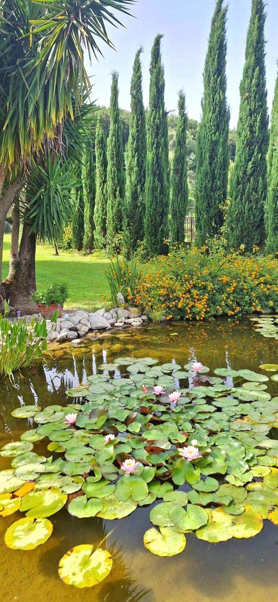 Villa Lucilla Altavilla Silentina Buitenkant foto